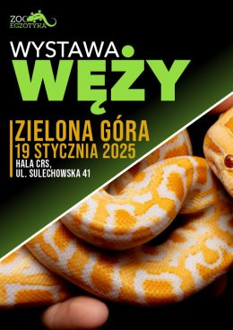 Zielona Góra Wydarzenie Targi Wystawa węży - Zielona Góra