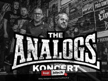 Nowa Sól Wydarzenie Koncert Koncert zespołu The Analogs, support The Steve Martins