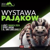 Zielona Góra Wydarzenie Inne wydarzenie Wystawa pająków - ZooEgzotyka