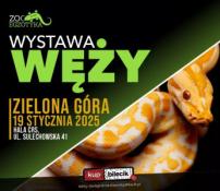 Zielona Góra Wydarzenie Inne wydarzenie Wystawa węży - ZooEgzotyka