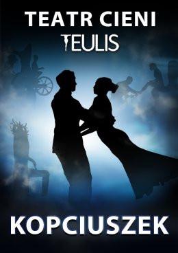 Zielona Góra Wydarzenie Inne wydarzenie TEATR CIENI TEULIS - Spektakl Familijny "Kopciuszek"