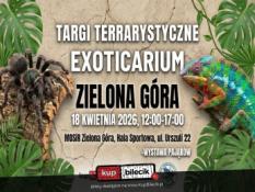 Zielona Góra Wydarzenie Inne wydarzenie Targi Egzotycznych Zwierząt Exoticarium w Zielonej Górze!